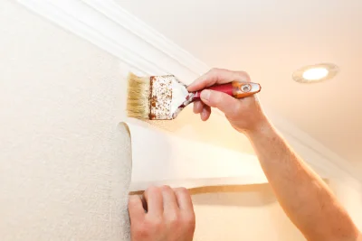 Pose de papier peint à Llo — revêtements muraux et toiles de verre